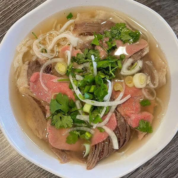 A bowl of Goi Cuon pho with beef, noodles, onions, and cilantro in a clear broth.